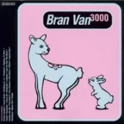 Carry on - Bran van 3000