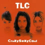 Case of the fake people - Tlc