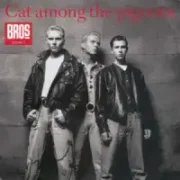 Cat among the pigeons - Bros