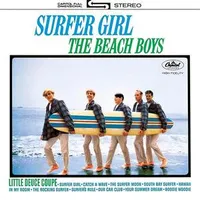 Catch a wave - The beach boys