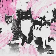 Caturday - ​tobi Lou