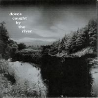 Caught by the river - Doves