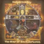 Cause a rockslide - Badly drawn boy