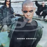 Charity - Skunk anansie