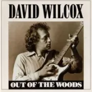 Cheap beer joint - David wilcox