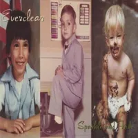 Chemical smile - Everclear