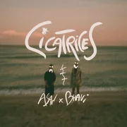 Cicatrices ft. Bhavi - Asan