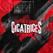 Cicatrices - Natos Y Waor