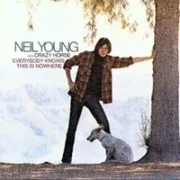 Cinnamon girl - Neil young