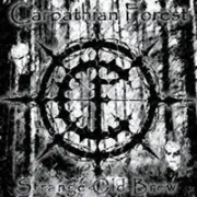 Cloak of midnight - Carpathian forest