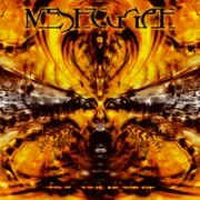 Closed eye visuals - Meshuggah