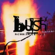 Cold contagious - Bush