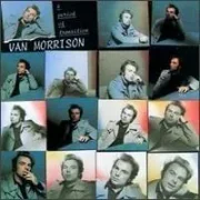 Cold wind in august - Van morrison