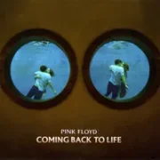 Coming back to life - Pink floyd
