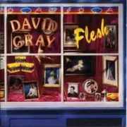 Coming down - David gray