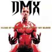 Coming from - Dmx