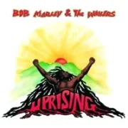 Coming in from the cold - Bob marley & the wailers