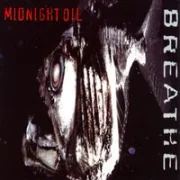 Common ground - Midnight oil