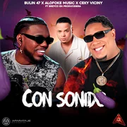 Con Sonido ft. Breyco En Producidera - Bulin 47