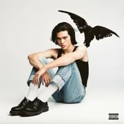 Conan Gray - Wish You Were Sober (Traducción al Español) - Genius Traducciones Al Español