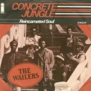 Concrete jungle - Bob marley & the wailers