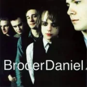 Confusion - Broder daniel