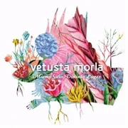 Consejo de Sabios - Vetusta Morla