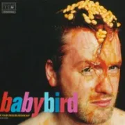 Cornershop - Babybird