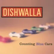 Counting blue cars - Dishwalla