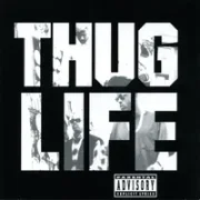 Cradle to the grave - Thug life