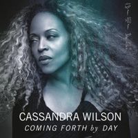 Crazy He Calls Me - Cassandra Wilson