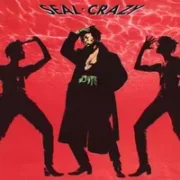 Crazy - Seal