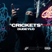 Crickets - Dudeylo