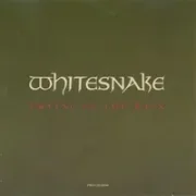 Crying in the rain - White snake