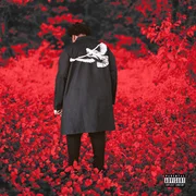 Crying (Interlude) ft. Pooh Shiesty - Big30