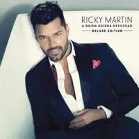 Cuanto Me Acuerdo de Ti - Ricky Martin