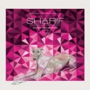 Culpable ft. Natos - Sharif