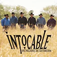 Culpable Fui (Culpable Soy) - Intocable