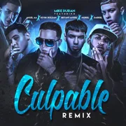 Culpable (Remix) ft. Anuel AA, KEVIN ROLDAN, Bryant Myers, Noriel & Darkiel - Mike Duran