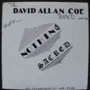 Cum stains on the pillow - David allan coe