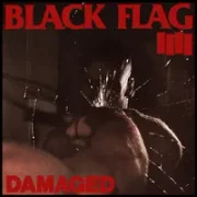 Damaged ii - Black flag