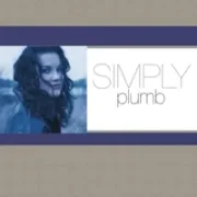 Damaged - Plumb