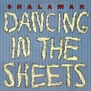 Dancing in the sheets - Shalamar