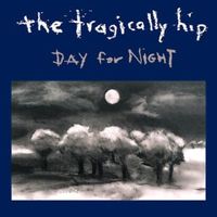 Daredevil - The tragically hip