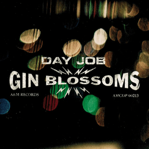 Day job - Gin blossoms