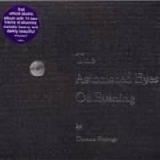 Dead eyes open, or, how the woman in the attic fled, never to return - Cinema strange