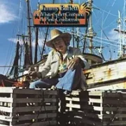 Death of an unpopular poet - Jimmy buffett