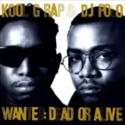 Death wish - Kool g. rap & dj polo