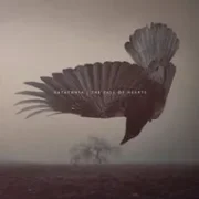 Decima - Katatonia