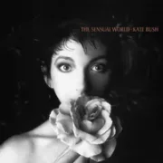 Deeper understanding - Kate bush